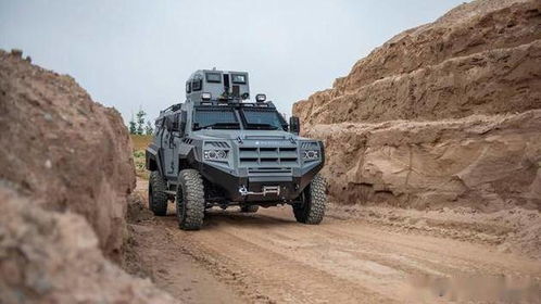 加拿大霸道apc輪式裝甲運兵車